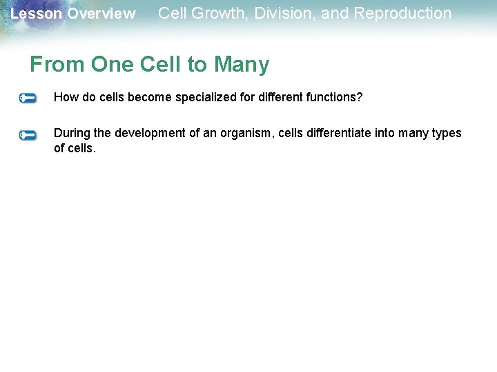 Lesson Overview Cell Growth, Division, and Reproduction From One Cell to Many How do