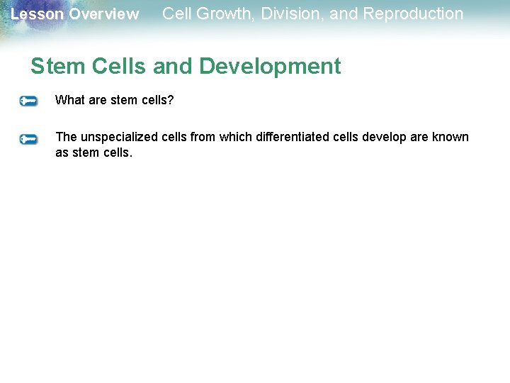 Lesson Overview Cell Growth, Division, and Reproduction Stem Cells and Development What are stem