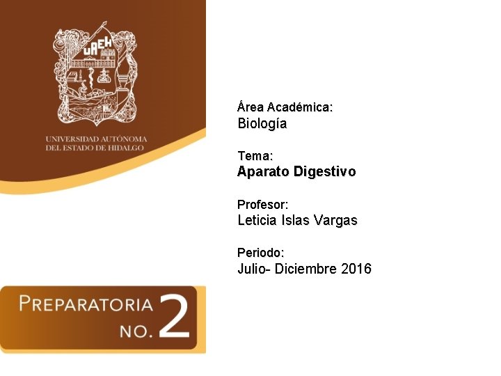 Área Académica: Biología Tema: Aparato Digestivo Profesor: Leticia Islas Vargas Periodo: Julio- Diciembre 2016