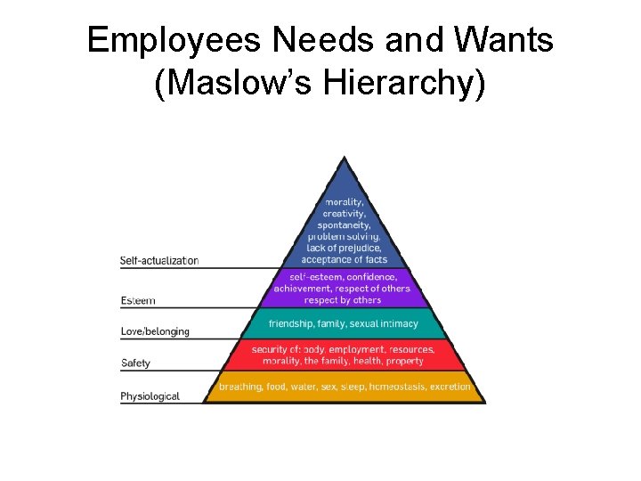 Employees Needs and Wants (Maslow’s Hierarchy) 