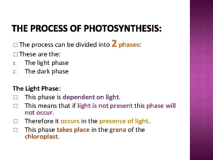 THE PROCESS OF PHOTOSYNTHESIS: process can be divided into 2 phases: � These are