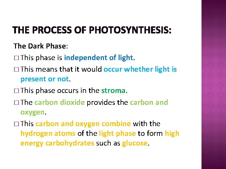 THE PROCESS OF PHOTOSYNTHESIS: The Dark Phase: � This phase is independent of light.