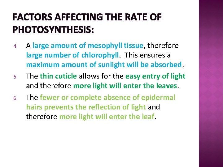 FACTORS AFFECTING THE RATE OF PHOTOSYNTHESIS: 4. 5. 6. A large amount of mesophyll