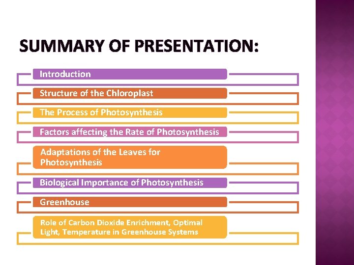 SUMMARY OF PRESENTATION: Introduction Structure of the Chloroplast The Process of Photosynthesis Factors affecting