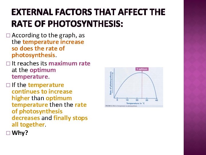 EXTERNAL FACTORS THAT AFFECT THE RATE OF PHOTOSYNTHESIS: � According to the graph, as