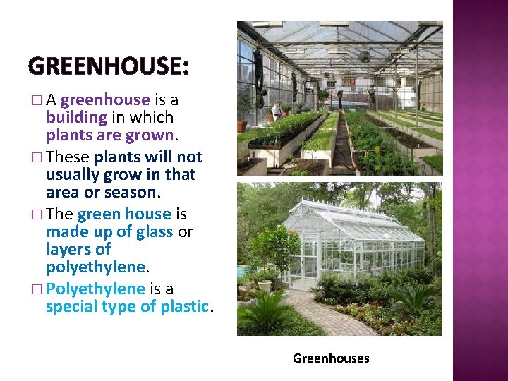 GREENHOUSE: �A greenhouse is a building in which plants are grown. � These plants