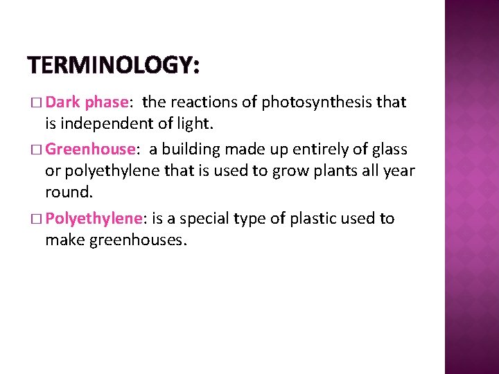 TERMINOLOGY: � Dark phase: the reactions of photosynthesis that is independent of light. �