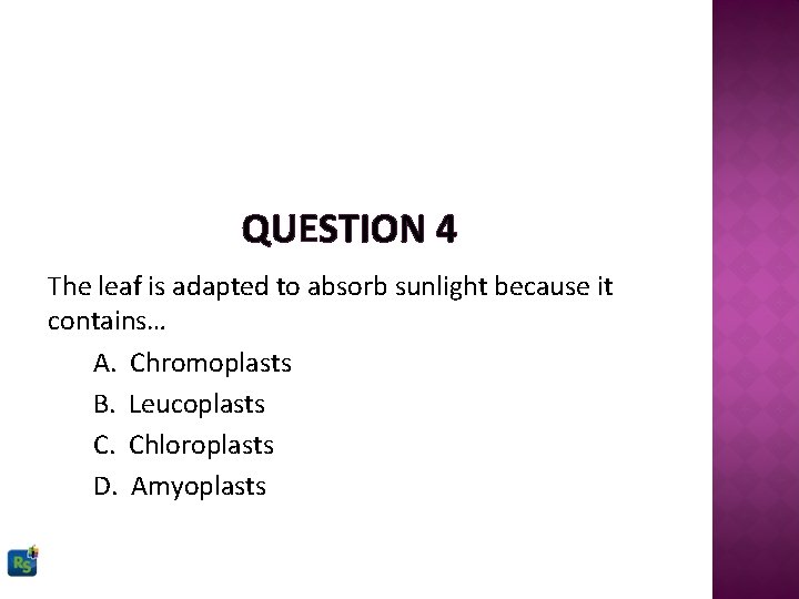 QUESTION 4 The leaf is adapted to absorb sunlight because it contains… A. Chromoplasts