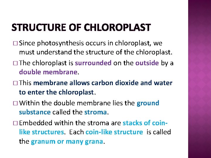 STRUCTURE OF CHLOROPLAST � Since photosynthesis occurs in chloroplast, we must understand the structure