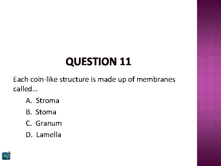 QUESTION 11 Each coin-like structure is made up of membranes called… A. Stroma B.