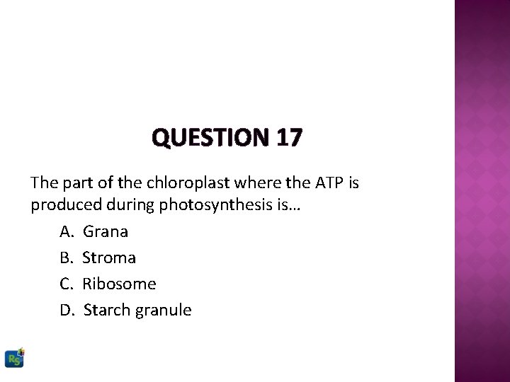 QUESTION 17 The part of the chloroplast where the ATP is produced during photosynthesis