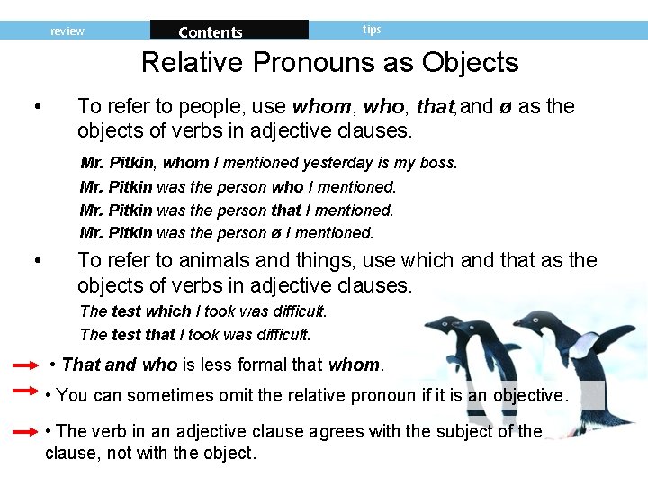 review Contents tips Relative Pronouns as Objects • To refer to people, use whom,