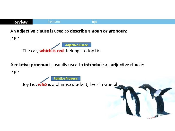 Review Contents tips An adjective clause is used to describe a noun or pronoun: