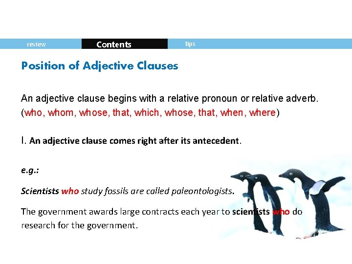 review Contents tips Position of Adjective Clauses An adjective clause begins with a relative