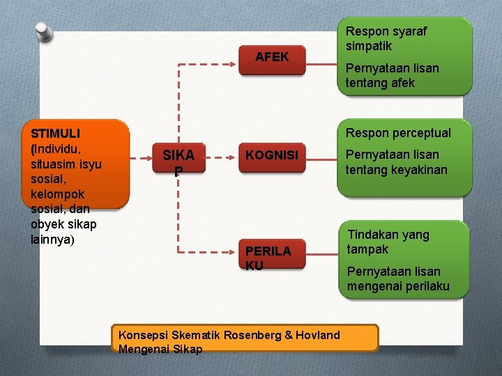 AFEK STIMULI (Individu, situasim isyu sosial, kelompok sosial, dan obyek sikap lainnya) Respon syaraf