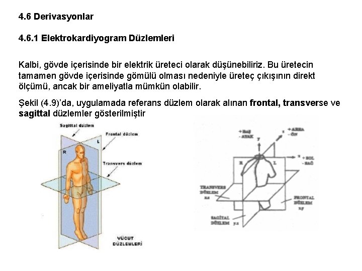 4. 6 Derivasyonlar 4. 6. 1 Elektrokardiyogram Düzlemleri Kalbi, gövde içerisinde bir elektrik üreteci