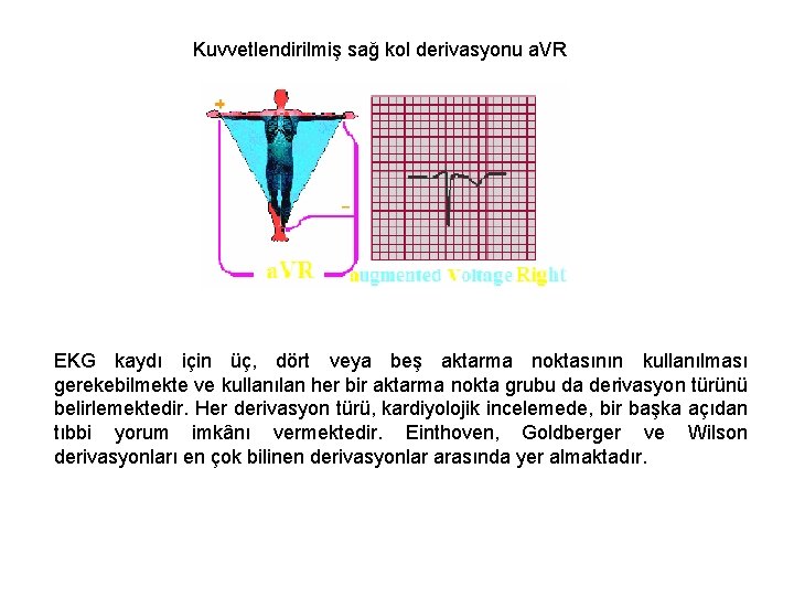 Kuvvetlendirilmiş sağ kol derivasyonu a. VR EKG kaydı için üç, dört veya beş aktarma