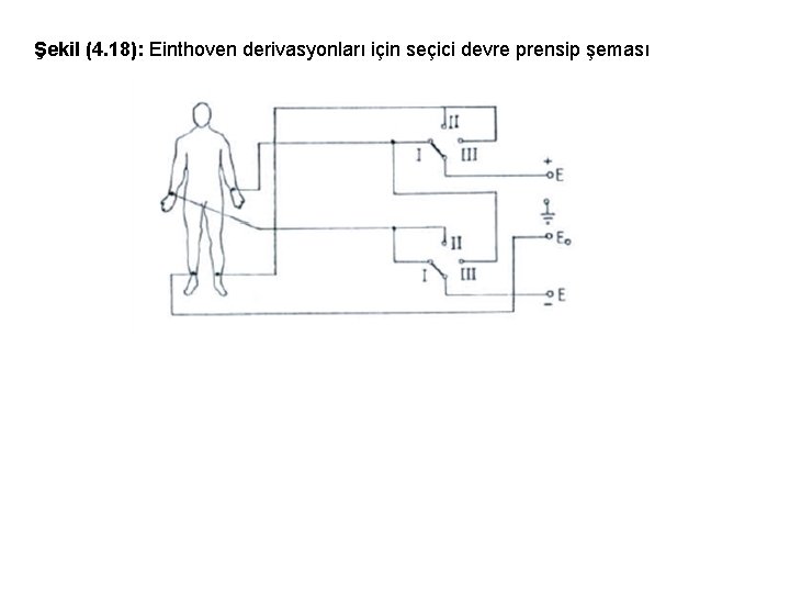 Şekil (4. 18): Einthoven derivasyonları için seçici devre prensip şeması 
