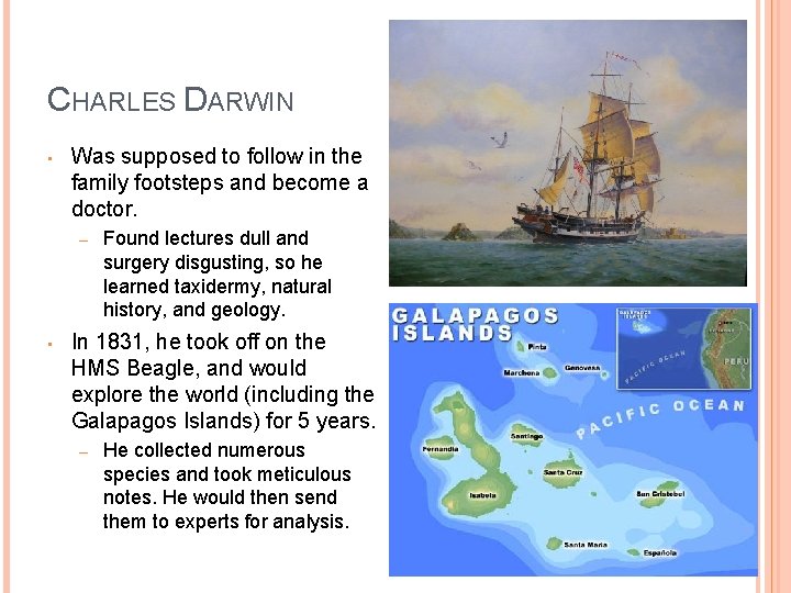 CHARLES DARWIN • Was supposed to follow in the family footsteps and become a