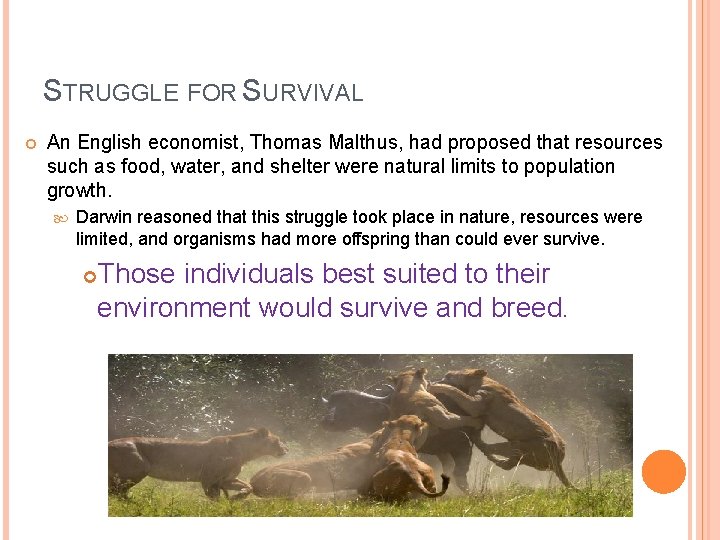 STRUGGLE FOR SURVIVAL An English economist, Thomas Malthus, had proposed that resources such as