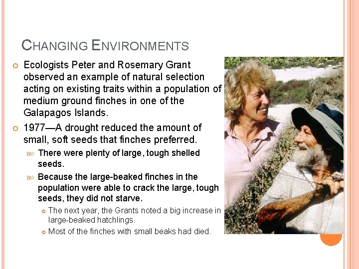 CHANGING ENVIRONMENTS Ecologists Peter and Rosemary Grant observed an example of natural selection acting