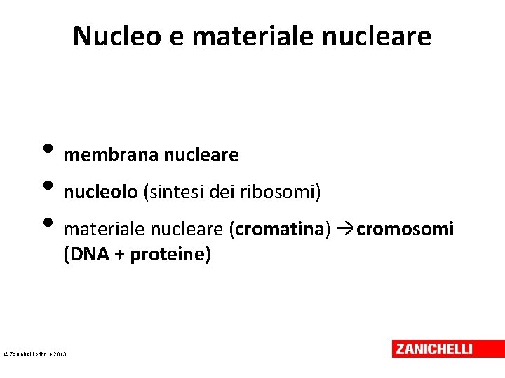 Nucleo e materiale nucleare • membrana nucleare • nucleolo (sintesi dei ribosomi) • materiale Nucleo e materiale nucleare • membrana nucleare • nucleolo (sintesi dei ribosomi) • materiale