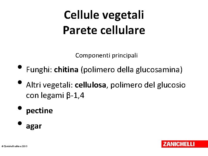 Cellule vegetali Parete cellulare Componenti principali • Funghi: chitina (polimero della glucosamina) • Altri Cellule vegetali Parete cellulare Componenti principali • Funghi: chitina (polimero della glucosamina) • Altri