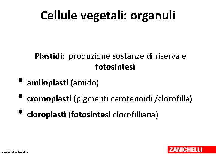Cellule vegetali: organuli Plastidi: produzione sostanze di riserva e fotosintesi • amiloplasti (amido) • Cellule vegetali: organuli Plastidi: produzione sostanze di riserva e fotosintesi • amiloplasti (amido) •