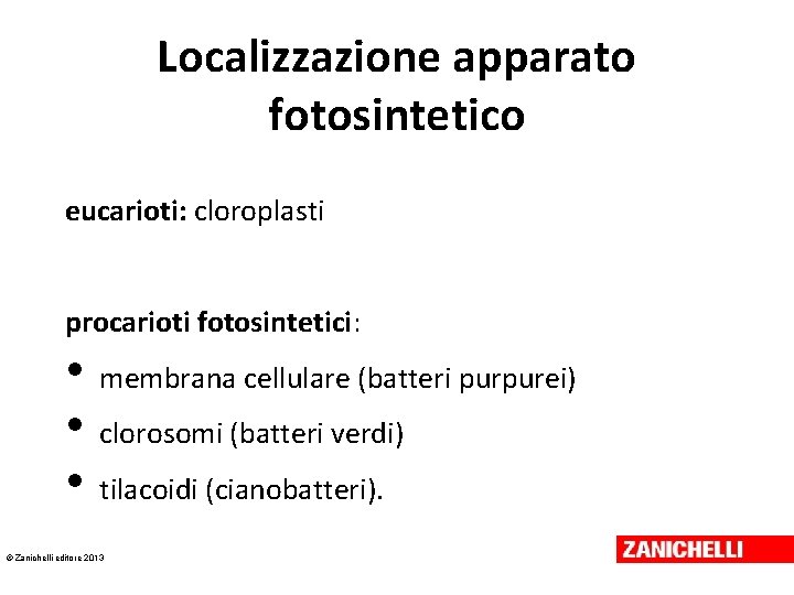 Localizzazione apparato fotosintetico eucarioti: cloroplasti procarioti fotosintetici: • • • membrana cellulare (batteri purpurei) Localizzazione apparato fotosintetico eucarioti: cloroplasti procarioti fotosintetici: • • • membrana cellulare (batteri purpurei)
