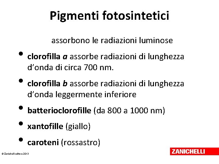 Pigmenti fotosintetici assorbono le radiazioni luminose • clorofilla a assorbe radiazioni di lunghezza d’onda Pigmenti fotosintetici assorbono le radiazioni luminose • clorofilla a assorbe radiazioni di lunghezza d’onda