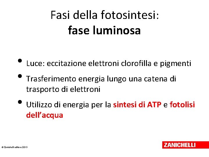 Fasi della fotosintesi: fase luminosa • Luce: eccitazione elettroni clorofilla e pigmenti • Trasferimento Fasi della fotosintesi: fase luminosa • Luce: eccitazione elettroni clorofilla e pigmenti • Trasferimento