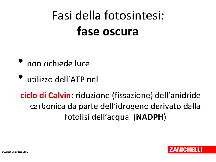 Fasi della fotosintesi: fase oscura • non richiede luce • utilizzo dell’ATP nel ciclo Fasi della fotosintesi: fase oscura • non richiede luce • utilizzo dell’ATP nel ciclo
