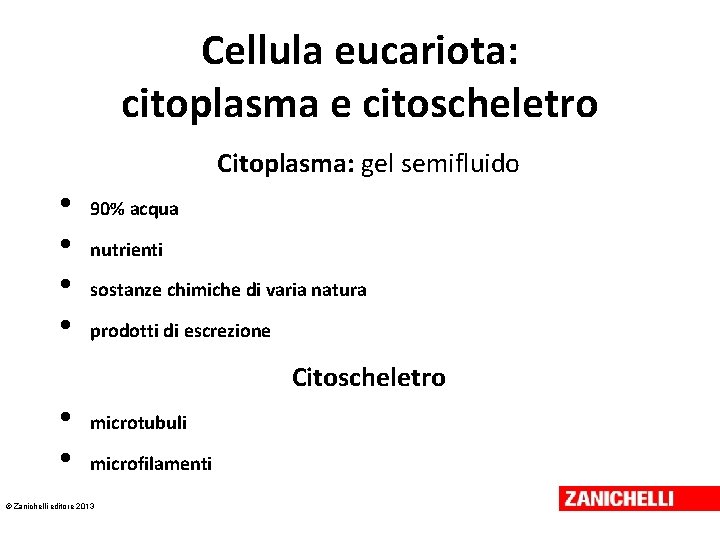 Cellula eucariota: citoplasma e citoscheletro Citoplasma: gel semifluido • • 90% acqua nutrienti sostanze Cellula eucariota: citoplasma e citoscheletro Citoplasma: gel semifluido • • 90% acqua nutrienti sostanze