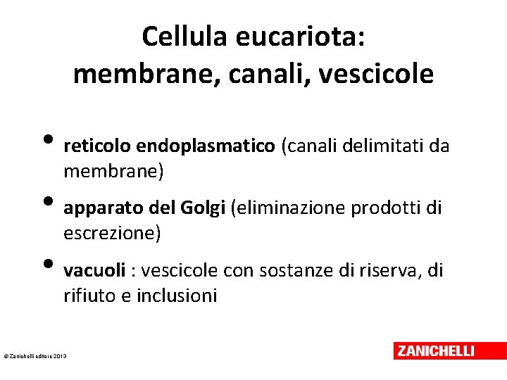 Cellula eucariota: membrane, canali, vescicole • reticolo endoplasmatico (canali delimitati da membrane) • apparato Cellula eucariota: membrane, canali, vescicole • reticolo endoplasmatico (canali delimitati da membrane) • apparato