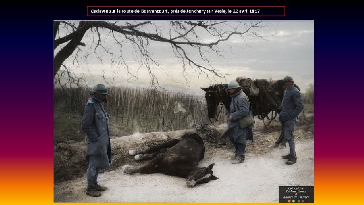 Cadavre sur la route de Bouvancourt, près de Jonchery sur Vesle, le 22 avril
