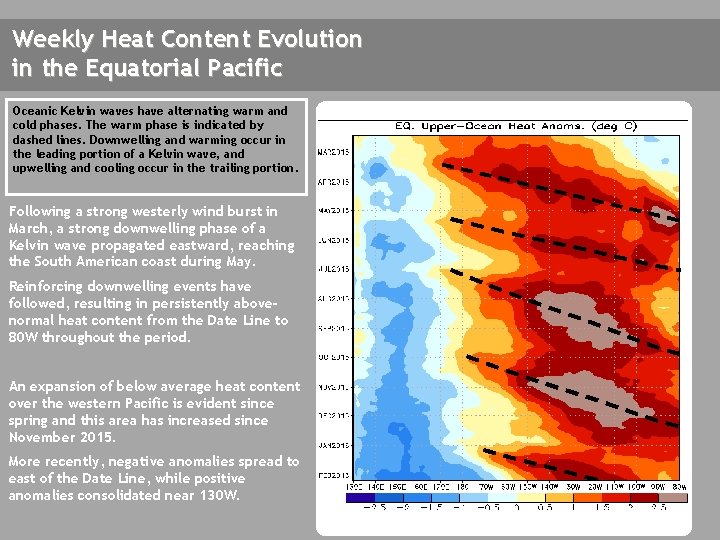 Weekly Heat Content Evolution in the Equatorial Pacific Oceanic Kelvin waves have alternating warm