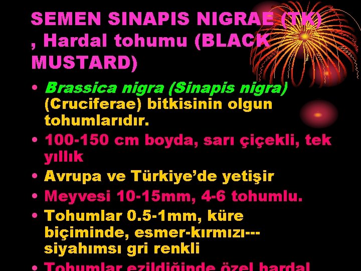 SEMEN SINAPIS NIGRAE (TK) , Hardal tohumu (BLACK MUSTARD) • Brassica nigra (Sinapis nigra) SEMEN SINAPIS NIGRAE (TK) , Hardal tohumu (BLACK MUSTARD) • Brassica nigra (Sinapis nigra)