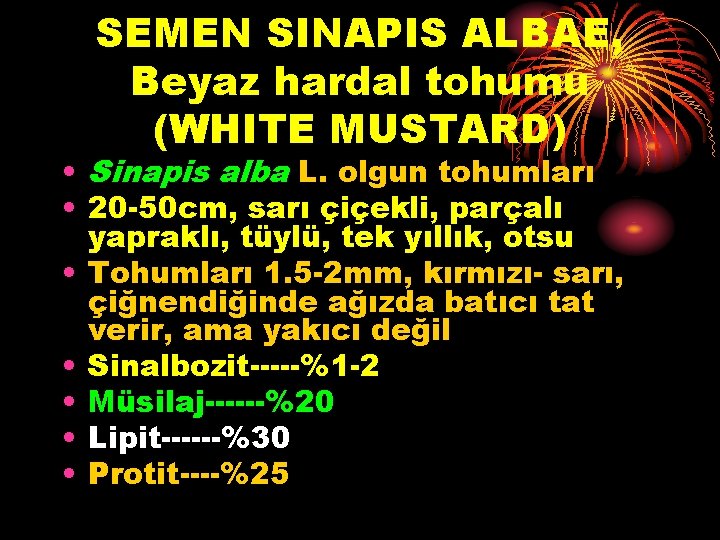 SEMEN SINAPIS ALBAE, Beyaz hardal tohumu (WHITE MUSTARD) • Sinapis alba L. olgun tohumları