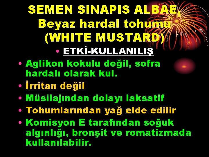 SEMEN SINAPIS ALBAE, Beyaz hardal tohumu (WHITE MUSTARD) • • • ETKİ-KULLANILIŞ Aglikon kokulu