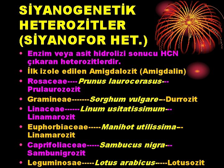 SİYANOGENETİK HETEROZİTLER (SİYANOFOR HET. ) • Enzim veya asit hidrolizi sonucu HCN çıkaran heterozitlerdir.