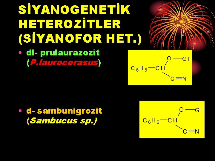 SİYANOGENETİK HETEROZİTLER (SİYANOFOR HET. ) • dl- prulaurazozit (P. laurocerasus) • d- sambunigrozit (Sambucus