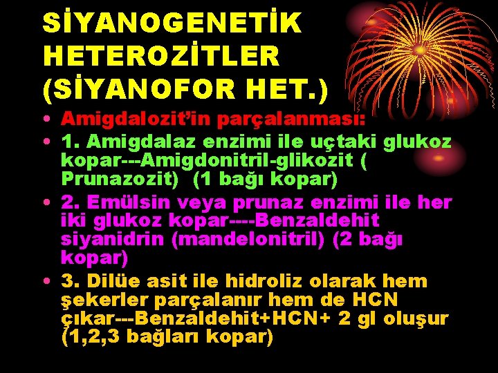 SİYANOGENETİK HETEROZİTLER (SİYANOFOR HET. ) • Amigdalozit’in parçalanması: • 1. Amigdalaz enzimi ile uçtaki