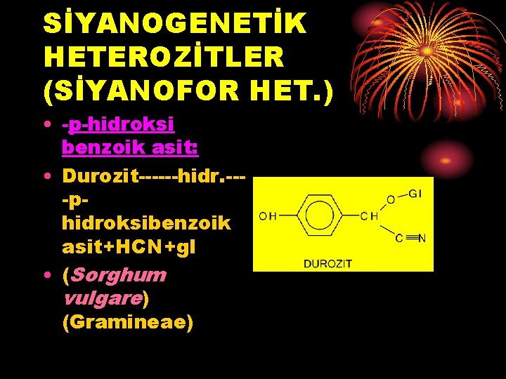 SİYANOGENETİK HETEROZİTLER (SİYANOFOR HET. ) • -p-hidroksi benzoik asit: • Durozit------hidr. ---phidroksibenzoik asit+HCN+gl •