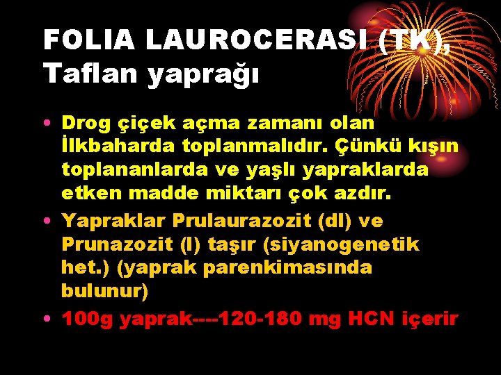 FOLIA LAUROCERASI (TK), Taflan yaprağı • Drog çiçek açma zamanı olan İlkbaharda toplanmalıdır. Çünkü