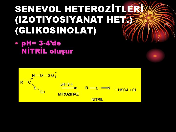 SENEVOL HETEROZİTLERİ (IZOTIYOSIYANAT HET. ) (GLIKOSINOLAT) • p. H= 3 -4’de NİTRİL oluşur 