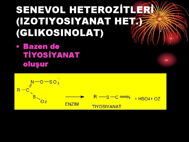 SENEVOL HETEROZİTLERİ (IZOTIYOSIYANAT HET. ) (GLIKOSINOLAT) • Bazen de TİYOSİYANAT oluşur SENEVOL HETEROZİTLERİ (IZOTIYOSIYANAT HET. ) (GLIKOSINOLAT) • Bazen de TİYOSİYANAT oluşur
