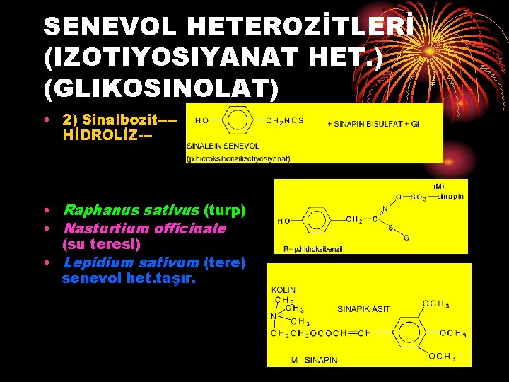 SENEVOL HETEROZİTLERİ (IZOTIYOSIYANAT HET. ) (GLIKOSINOLAT) • 2) Sinalbozit---HİDROLİZ--- • Raphanus sativus (turp) •