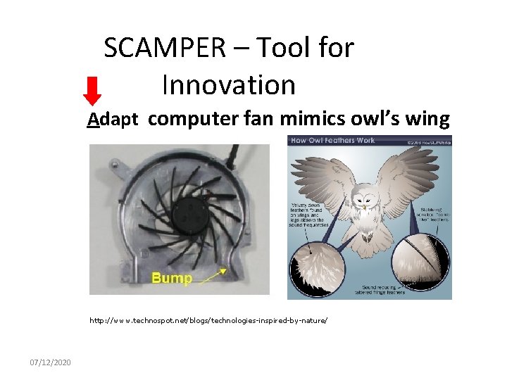SCAMPER – Tool for Innovation Adapt computer fan mimics owl’s wing http: //www. technospot.