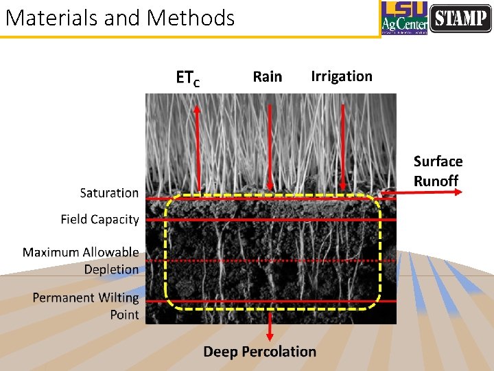 Materials and Methods 