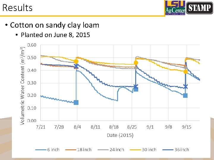 Results • Cotton on sandy clay loam • Planted on June 8, 2015 